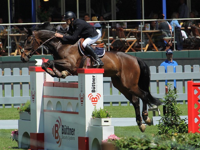 需要的时候 需要的时候