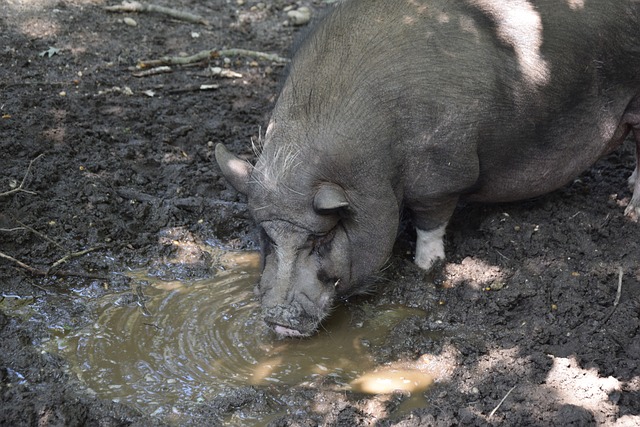 在某场与名 在某场与名