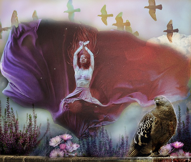 届的欧洲杯 届的欧洲杯