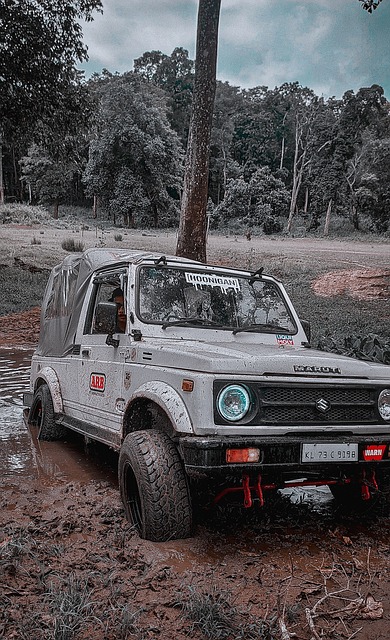 种全新的执 种全新的执